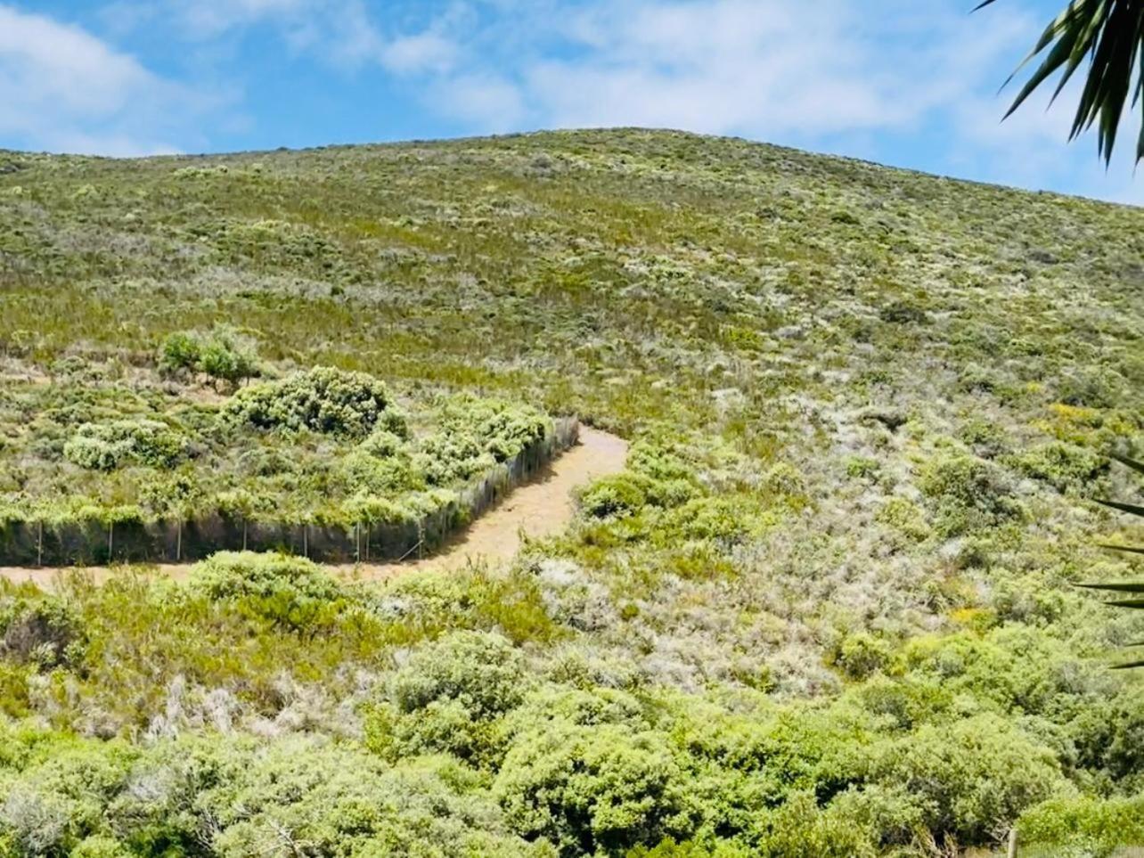 Hotel Vibes Cape Town Plattekloof Pokój zdjęcie